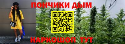 шишки Тулун