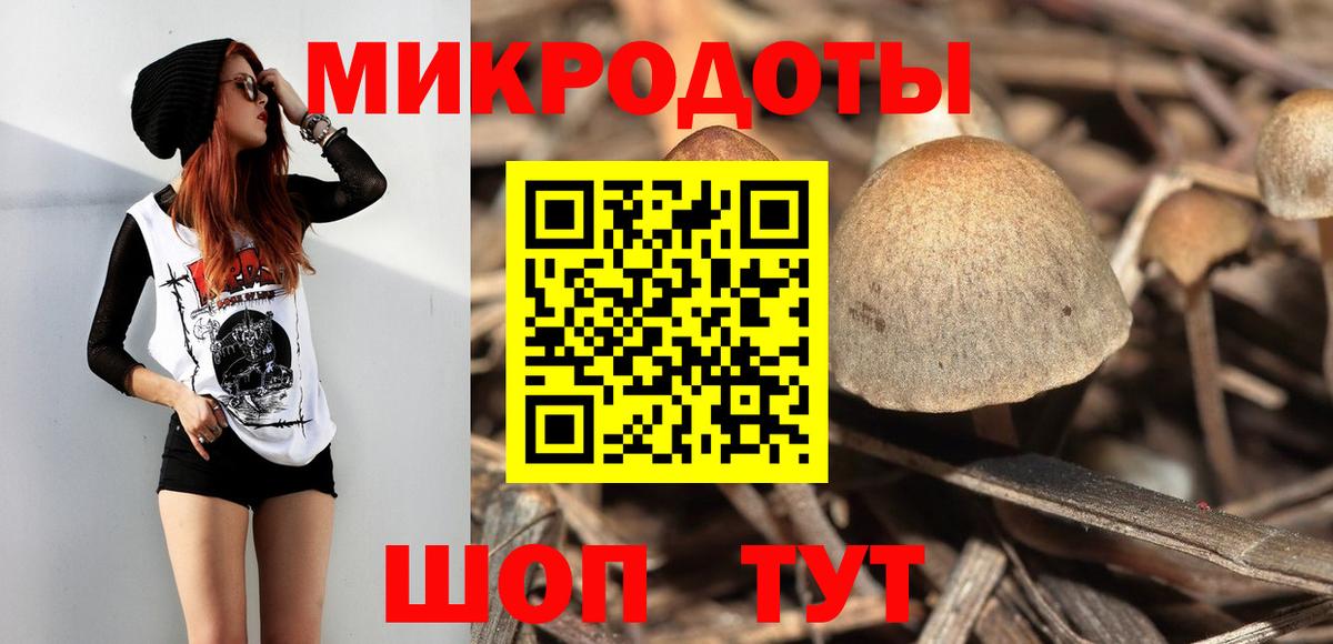 Павлово  Галлюциногенные грибы MAGIC MUSHROOMS  Вход с VPN 